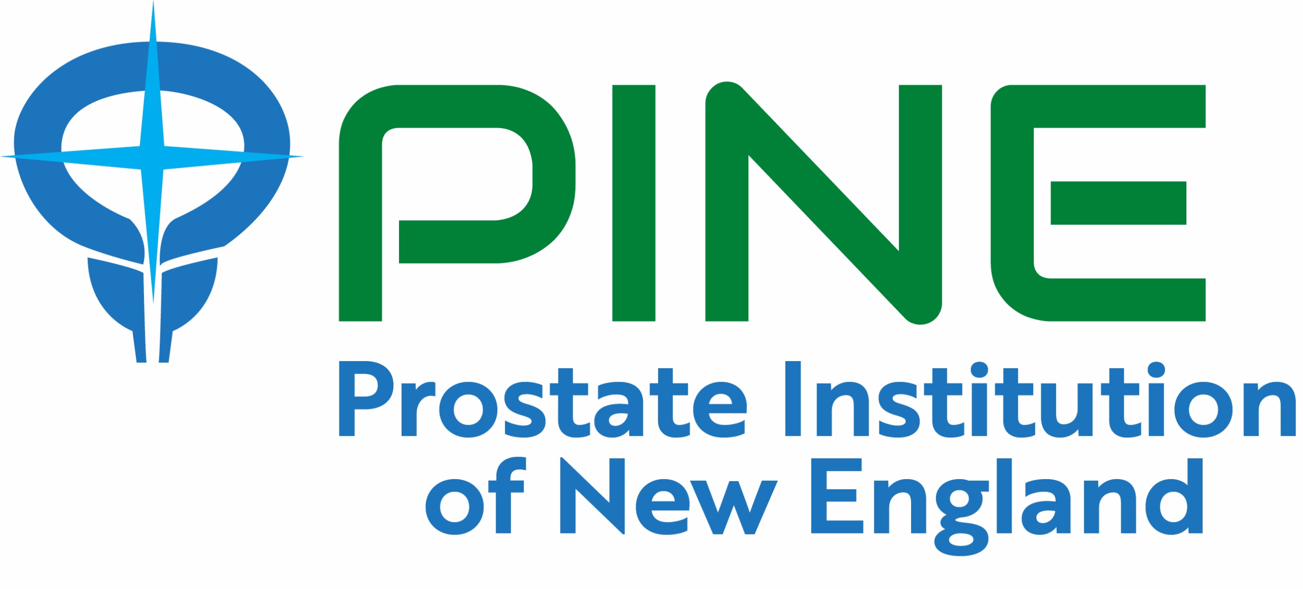 Prostate Institution of New England logo