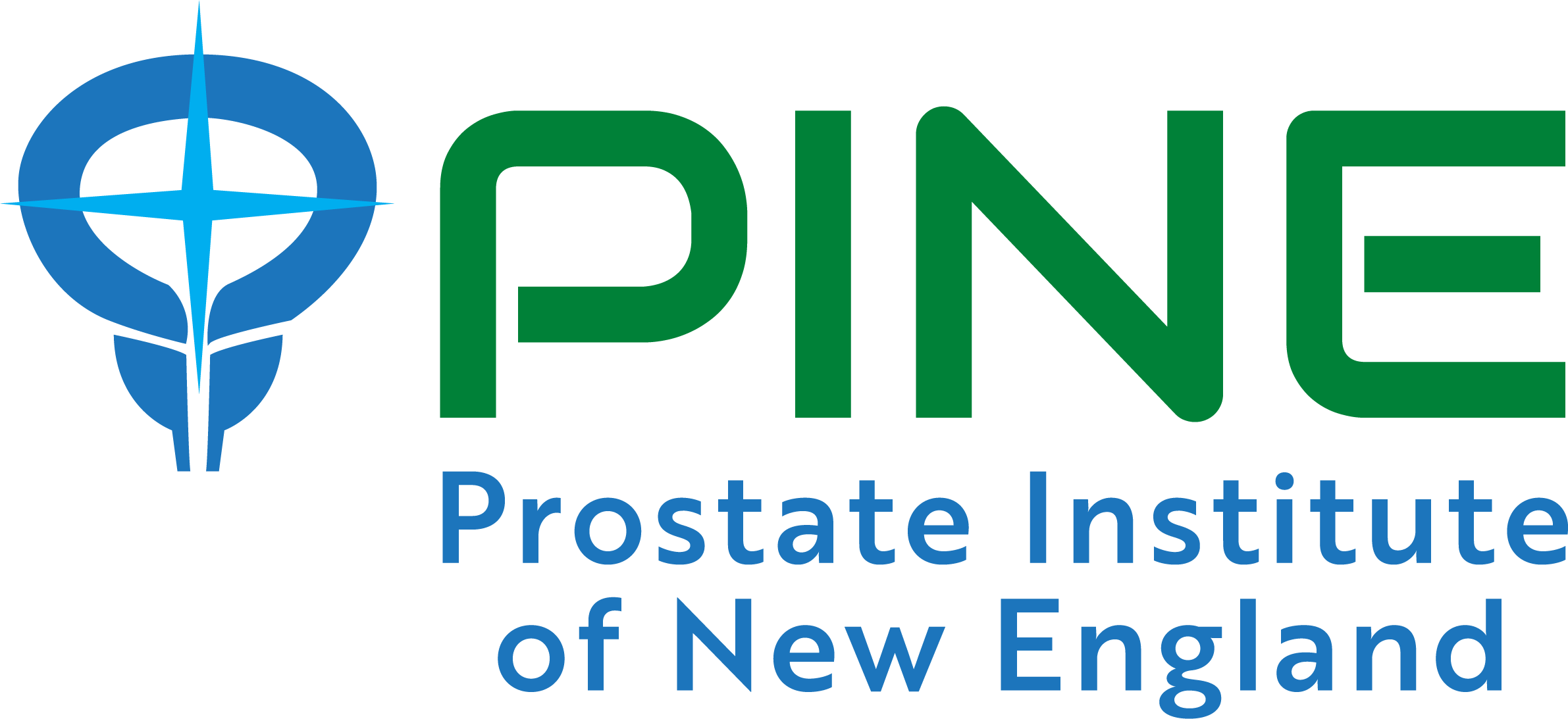 Prostate Institute of New England